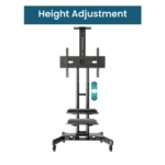 Professional rolling TV stand for offices and conference rooms